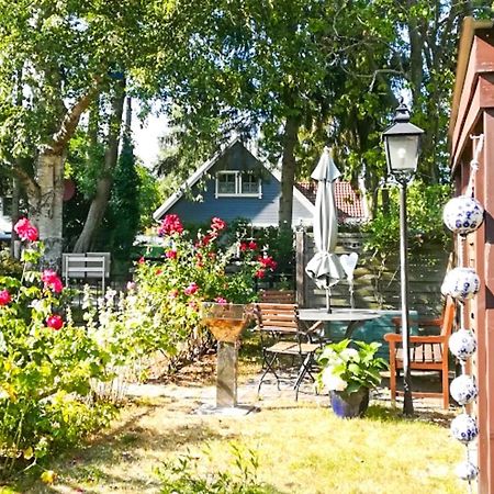 Am Waldesrand Apartamento Prerow Exterior foto